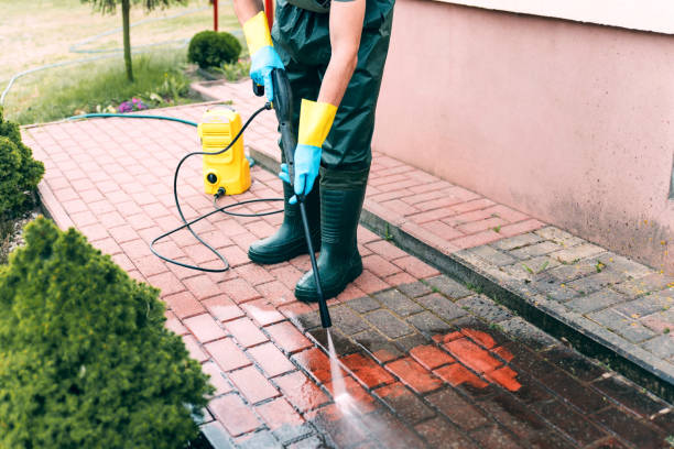 Best Driveway Cleaning and Restoration in Jamestown, ND